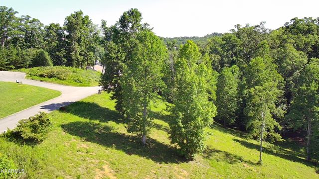 Cypress Drive, Dandridge, TN 37725