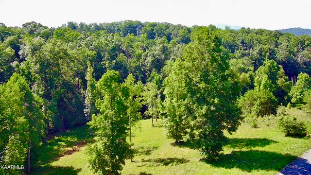 Cypress Drive, Dandridge, TN 37725