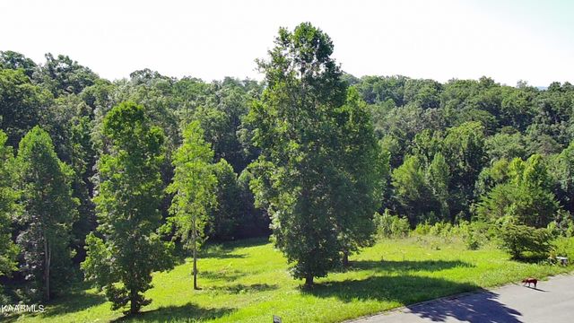 Cypress Drive, Dandridge, TN 37725