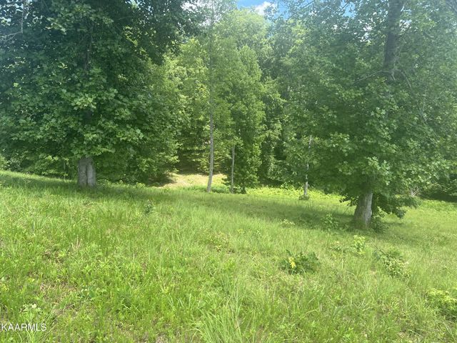 Cypress Drive, Dandridge, TN 37725