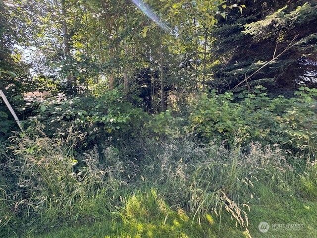 43 E Sycamore Road, Coupeville, WA 98239