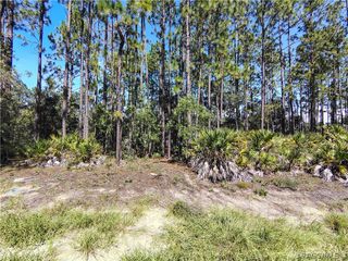 1930 W Wavecrest Drive, Dunnellon, FL 34434