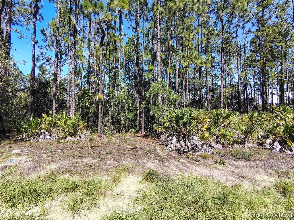 1930 W Wavecrest Drive, Dunnellon, FL 34434