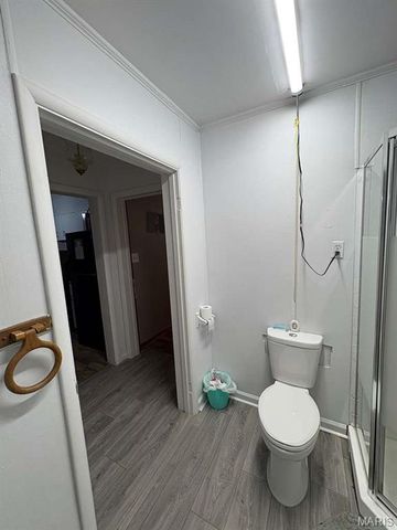 10346 County Road 610, Arbyrd, MO 63821