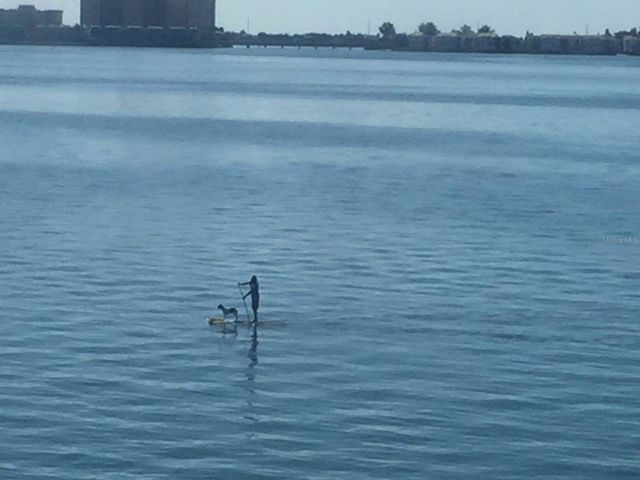 5900 SHORE BOULEVARD S 402, Gulfport, FL 33707