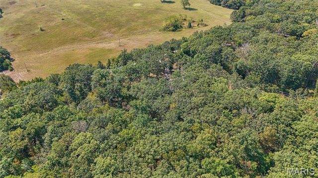 18211 Deer Run Lane, St James, MO 65559