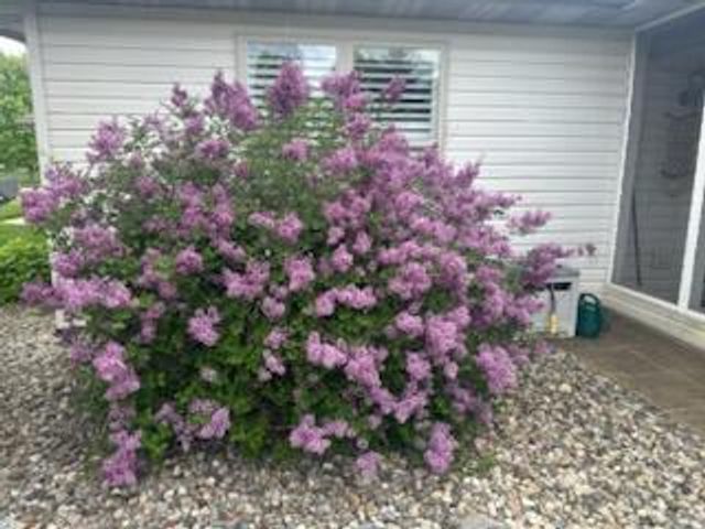 210 Windy Oak Drive, Hebron, IN 46341