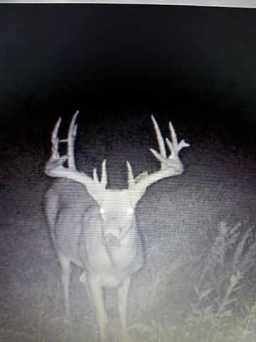 30405 Oak Grove Road, Paola, KS 66071