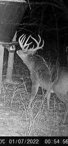 30405 Oak Grove Road, Paola, KS 66071