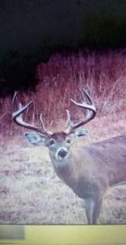 30405 Oak Grove Road, Paola, KS 66071