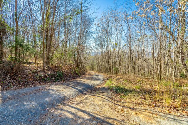 1111 Ditch Gap Road, Whitwell, TN 37397