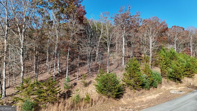 LOT 184 Northshore Drive, Cleveland, GA 30528