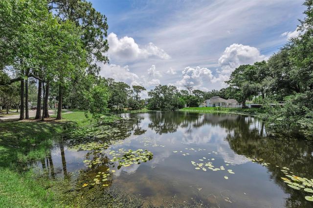 10497 LONGWOOD DRIVE, Seminole, FL 33777