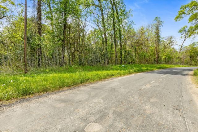 TBD County Road 2859 Phantom Drive, Cleveland, TX 77327