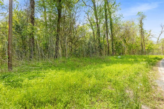 TBD County Road 2859 Phantom Drive, Cleveland, TX 77327