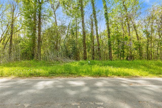 TBD County Road 2859 Phantom Drive, Cleveland, TX 77327