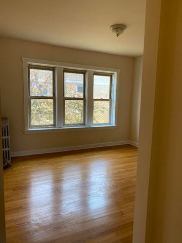 1733 W 91st Street 3, Chicago, IL 60620