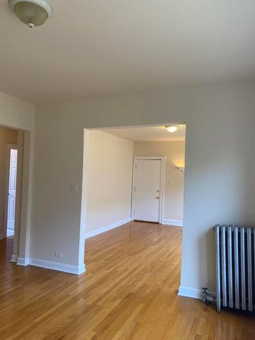 1733 W 91st Street 3, Chicago, IL 60620