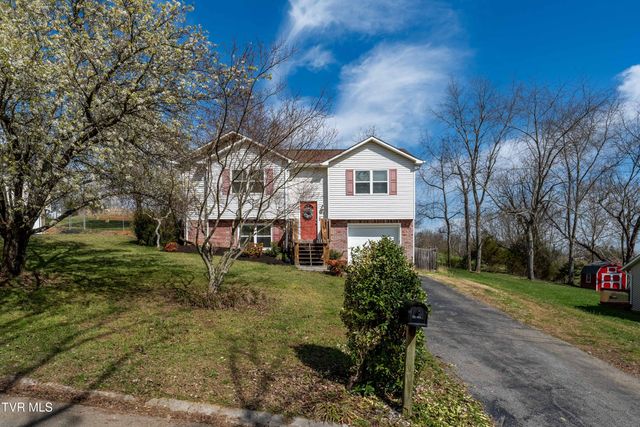283 Ridgeview Drive, Gray, TN 37615