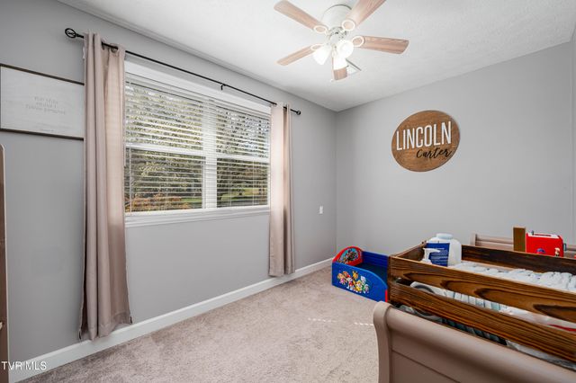 283 Ridgeview Drive, Gray, TN 37615