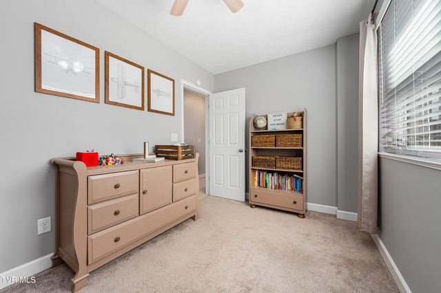 283 Ridgeview Drive, Gray, TN 37615