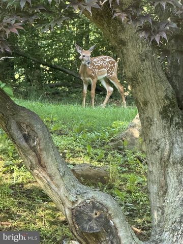 1421 EARLYS MILL RD, Palmyra, PA 17078