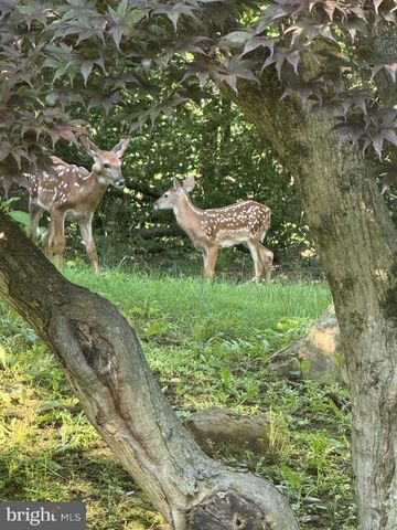 1421 EARLYS MILL RD, Palmyra, PA 17078