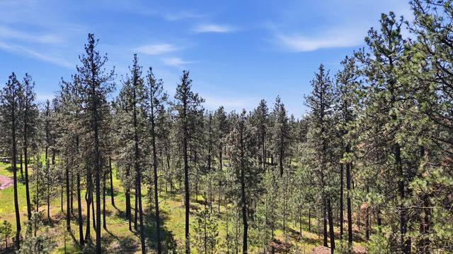 2205 W Dynamite Ln, Spokane, WA 99224