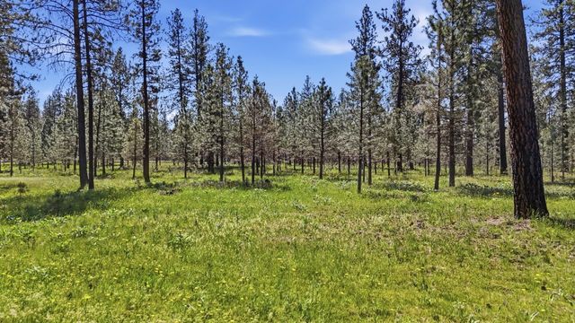 2205 W Dynamite Ln, Spokane, WA 99224