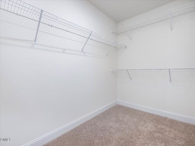 1609 Briar Brook Lane, Zebulon, NC 27597