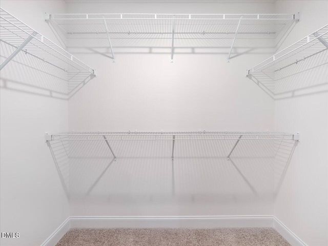 1609 Briar Brook Lane, Zebulon, NC 27597