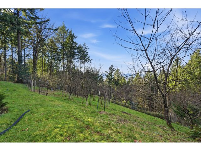 25445 Ne BALD PEAK Rd, Hillsboro, OR 97123