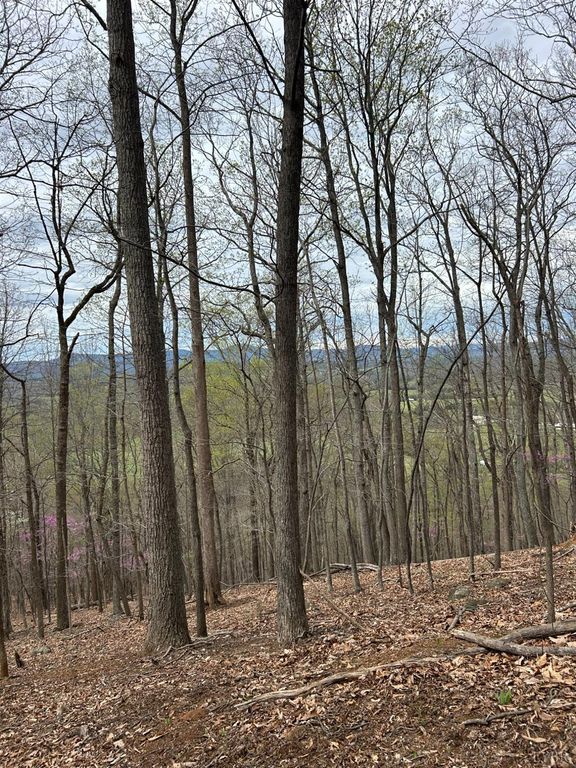 25 Crane Drive, Monroe, VA 24574