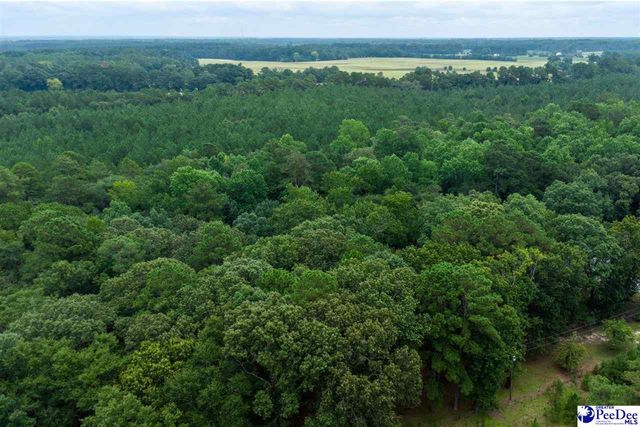 2357 Turkey Run Dr., Darlington, SC 29540