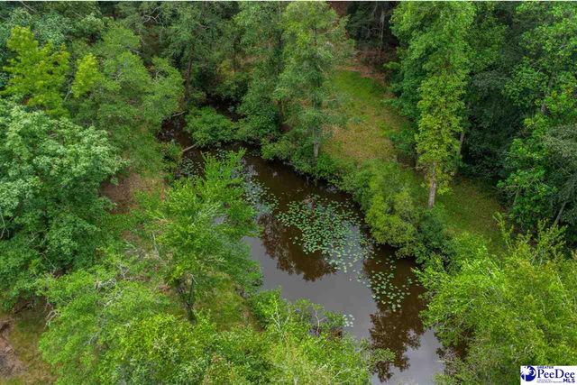 2357 Turkey Run Dr., Darlington, SC 29540