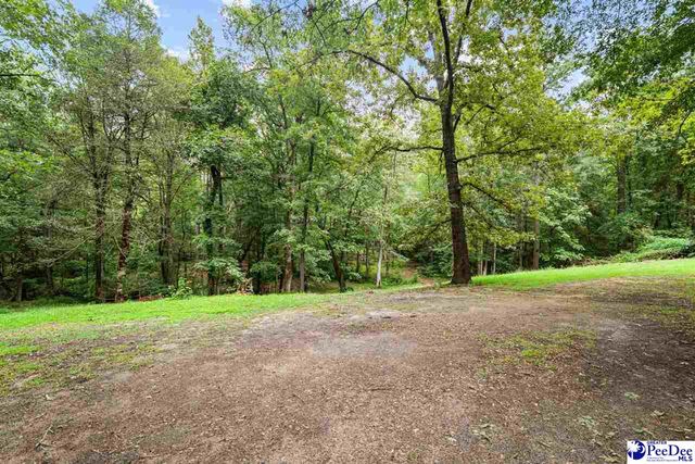 2357 Turkey Run Dr., Darlington, SC 29540