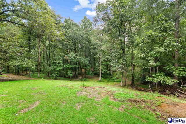 2357 Turkey Run Dr., Darlington, SC 29540