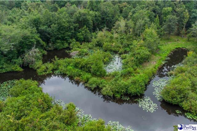2357 Turkey Run Dr., Darlington, SC 29540