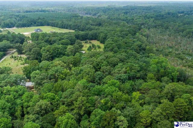 2357 Turkey Run Dr., Darlington, SC 29540