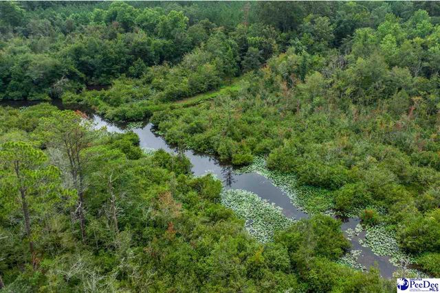 2357 Turkey Run Dr., Darlington, SC 29540