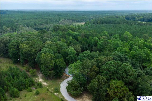 2357 Turkey Run Dr., Darlington, SC 29540