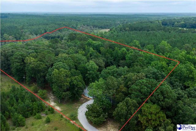 2357 Turkey Run Dr., Darlington, SC 29540