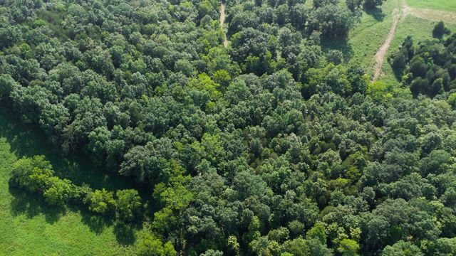 0 Baton Rouge tract 1 Road, Williamstown, KY 41097