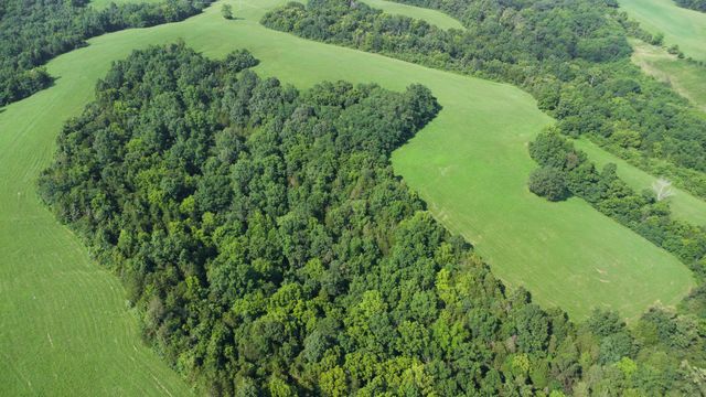 0 Baton Rouge tract 1 Road, Williamstown, KY 41097