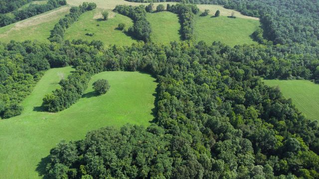 0 Baton Rouge tract 1 Road, Williamstown, KY 41097