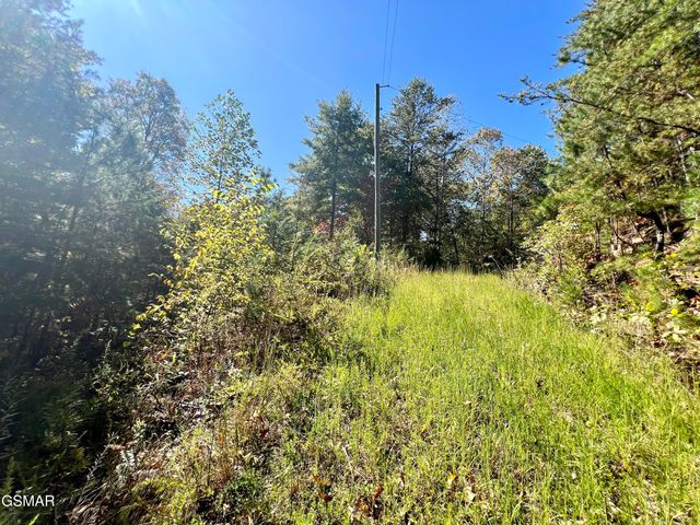 6 Acres Creek Hollow Way, Sevierville, TN 37876