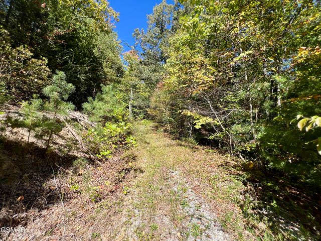 6 Acres Creek Hollow Way, Sevierville, TN 37876