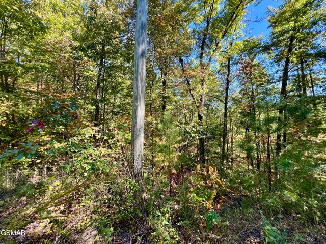 6 Acres Creek Hollow Way, Sevierville, TN 37876