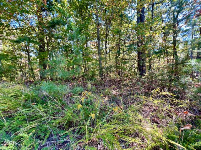 6 Acres Creek Hollow Way, Sevierville, TN 37876