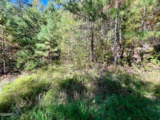 6 Acres Creek Hollow Way, Sevierville, TN 37876
